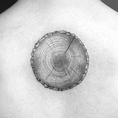 Tatuaje realista anillos de un árbol