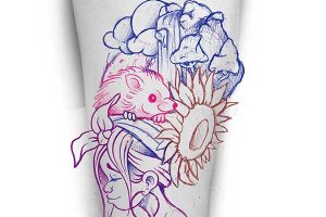 Modificaciones-diseño-pachamama